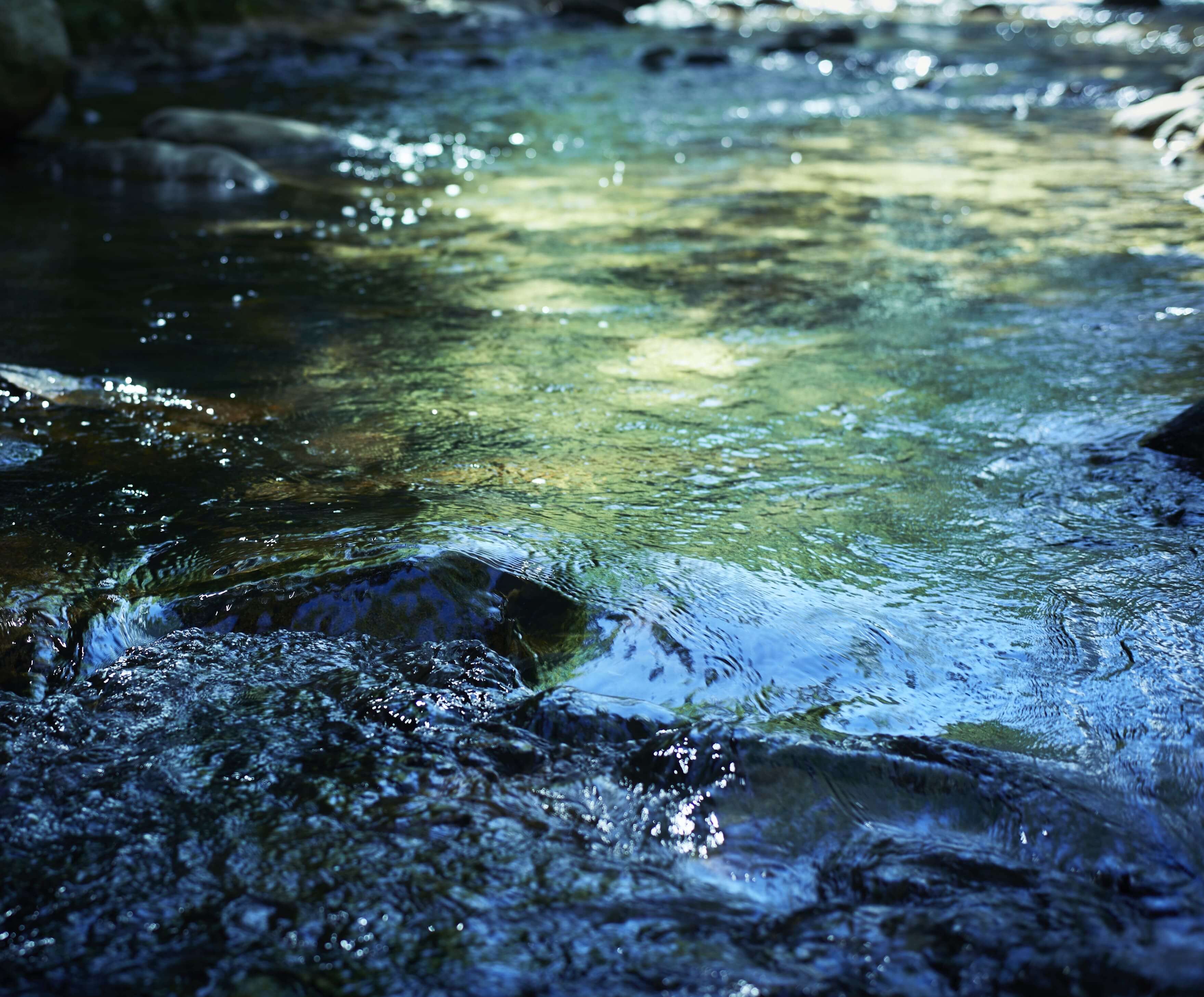 ふくよかな時間スライド画像